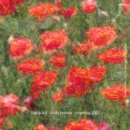 Digital Art - Polish poppy seed - impression 2002